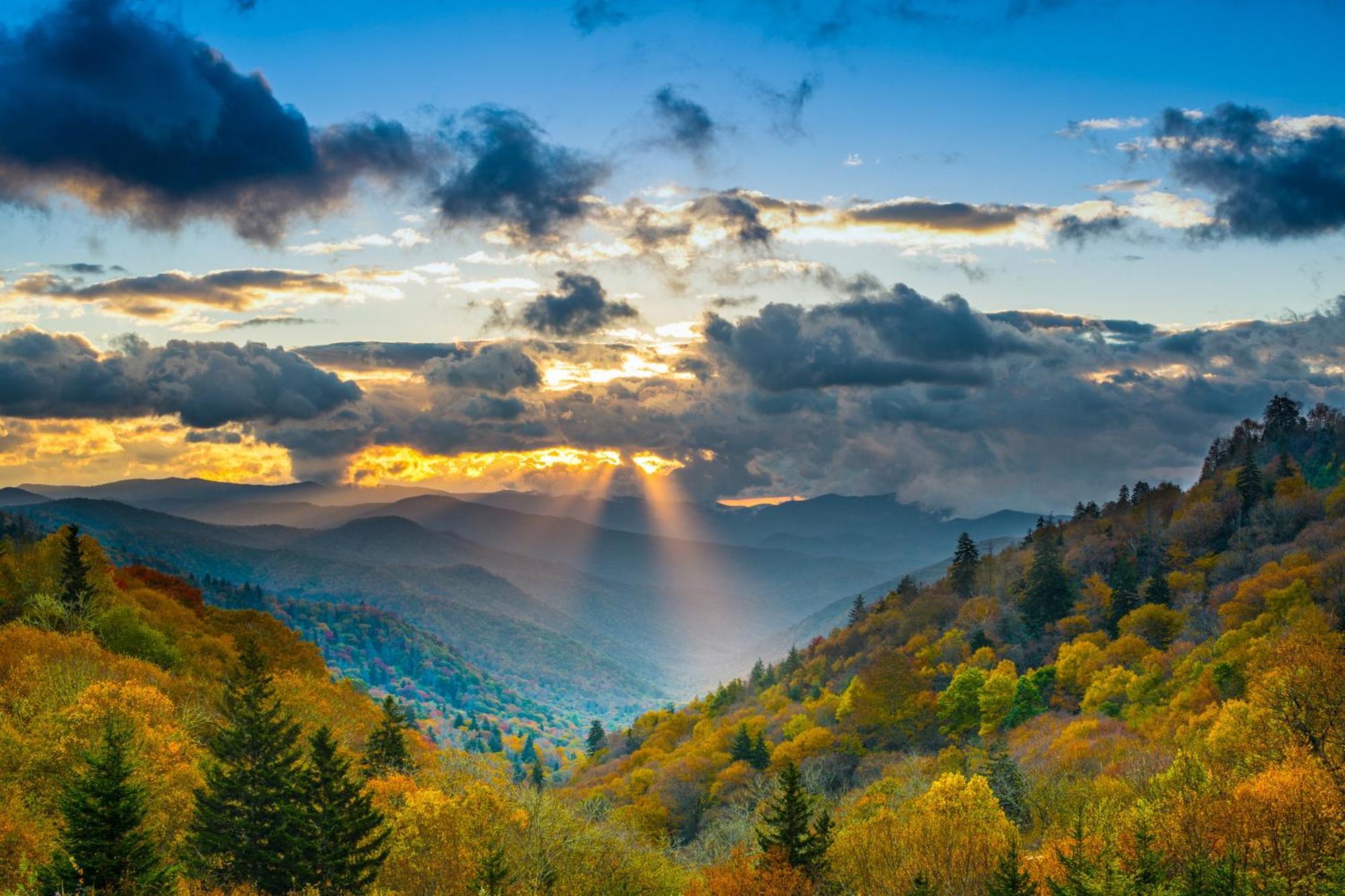 River Secret Pigeon Forge Oda fotoğraf